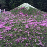 11272879_253403941501429_1017482232_a