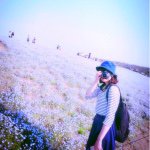 11208499_757912340989213_1021159503_a