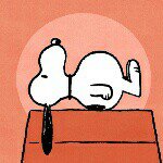 11273064_300124620111871_298586989_a