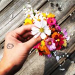 11324284_1609393689298581_1853561771_a