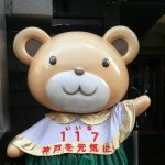 10898990_1529031230708380_22989137_a