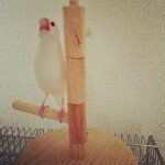 Profile_357810230_75sq_1366525600