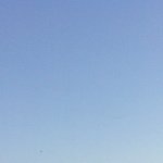 11357957_1461642890802980_1537926331_a