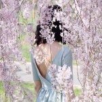 11084882_1565025480426715_536009564_a