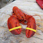 Profile_1476925_75sq_1375420455