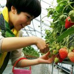 11187041_846981565373875_1795183207_a