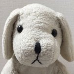 11111417_1565859673665387_1694305675_a