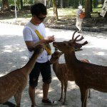 11282614_1606168632956631_1209559197_a