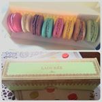 11311505_561858123952485_860661875_a