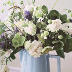 11191197_974278662605285_1477497598_a