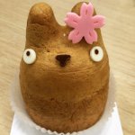 1527744_1563988800533742_1917137807_a