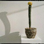 11098189_340708499473789_280134415_a