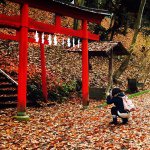 924761_435932133224391_206594454_a