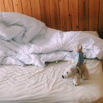 11259943_838413019566999_952319663_a