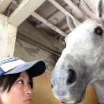 11327130_451815131640677_274881412_a