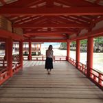 924704_1697109000508714_236923955_a