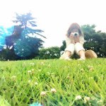 11379073_476816312468049_1736096470_a