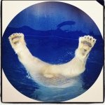 10523546_512275855572286_61923409_a