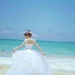 11350986_411366029066812_1310445518_a