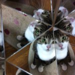 11111287_401664750013678_179557641_a