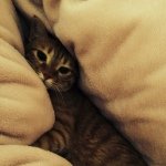 Profile_1180324361_75sq_1399717479