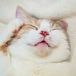 11429666_1596549440611683_1676053343_a