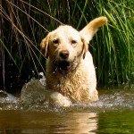 Profile_564008_75sq_1393731521