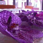 10546984_1434813656799758_1051811136_a