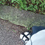 11376167_857318644362773_225103160_a