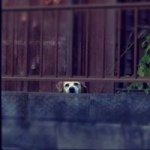 927968_761182907235542_1576745785_a