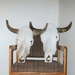 10310967_567478520037727_1817989002_a