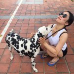 11419283_952164114841305_37937170_a