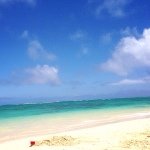 926900_791382264225714_1341805529_a