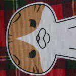 11084953_1415506788754544_1744295462_a