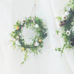 11189510_752759364847301_299729960_a