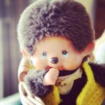 10903443_314286008782555_556651574_a