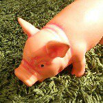 10881788_1757211154503088_90956539_a