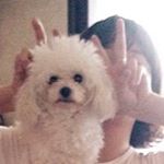 11337209_813108565452046_1918283477_a