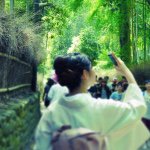 11311290_451371301688165_533590803_a