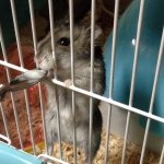 Profile_5833883_75sq_1397695271