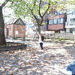 11205847_1431705320479203_1252641184_a