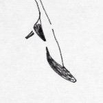 11274415_1100773089936199_1507955849_a