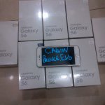 11242652_1590777281147192_823776670_a