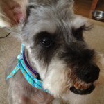 Profile_14453608_75sq_1351675108