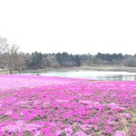 11189987_777065572390709_391136621_a