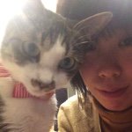 11312371_1746993698860965_249325115_a