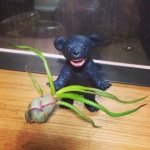 917112_306883119466168_1843951181_a