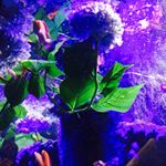 10269003_807412782711590_1928653078_a