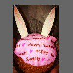 10808784_1486519938281988_1233434120_a