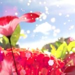 Profile_694705663_75sq_1394374902